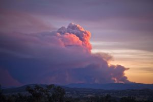 Wildfire Recovery & Prevention