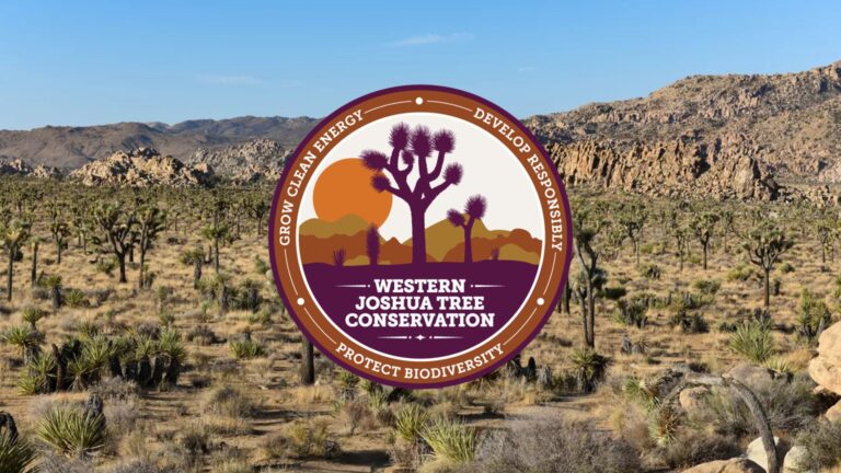 Town of Yucca Valley highlights possible changes to Western Joshua Tree Conservation Act