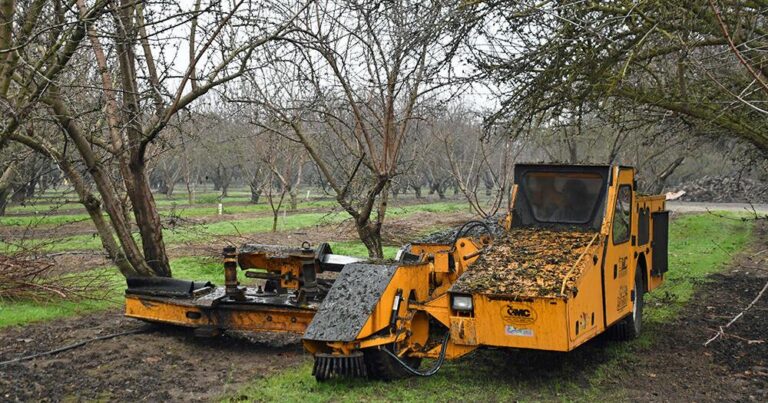 Counties struggle with new abandoned orchard law | Patterson Irrigator - ttownmedia.com