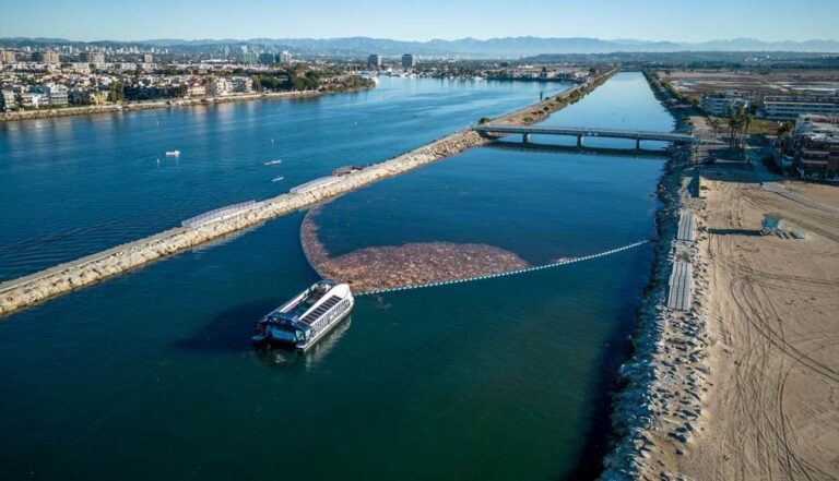 Dutch Ocean Cleanup Folks Are Clearing LA's Rivers of Trash in Time for 2028 Olympics