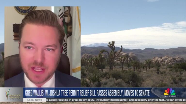 Joshua Tree Permit Reform Bill Advances to California Senate - NBC Palm Springs